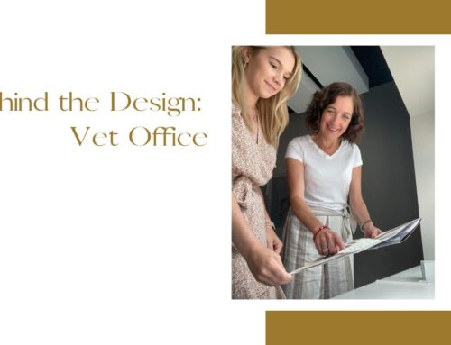 Designing a Vet Dermatology Office with a “No Fear” Approach